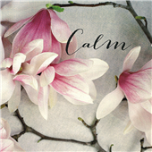 Cuadro canvas poem crop calm