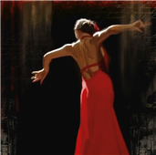 Cuadro canvas flamenco II