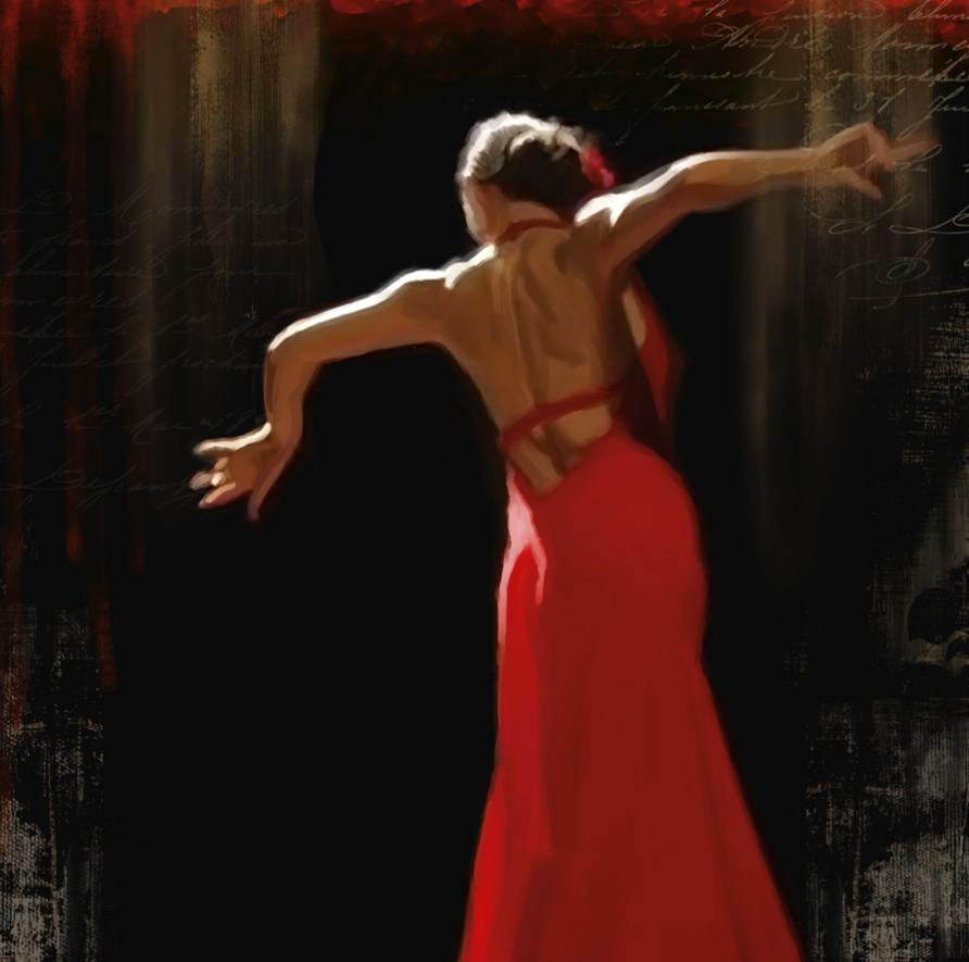 Cuadro canvas flamenco II