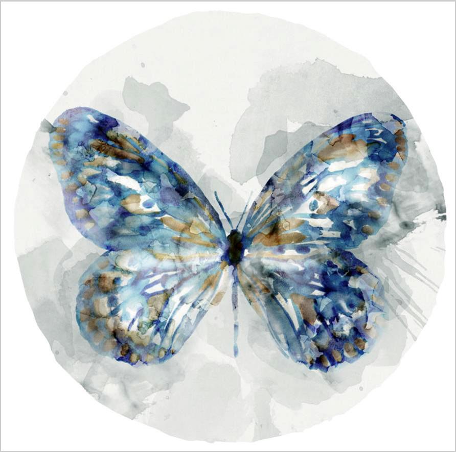 Cuadro canvas indigo butterfly III