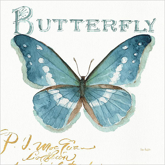 Canvas blue butterfly