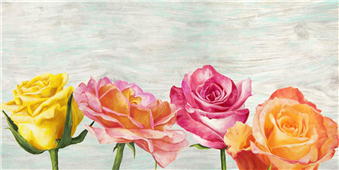 Cuadro canvas funky roses