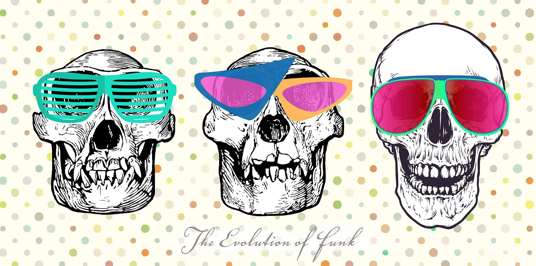 Cuadro canvas the evolution of funk