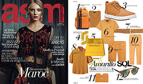 Revista Asm Magazine 