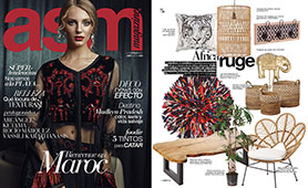 Revista Asm Magazine 