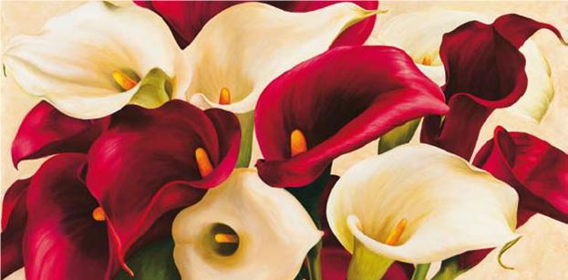 Cuadro canvas calla composition