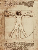 Cuadro canvas leonardo da vinci vitruvian man