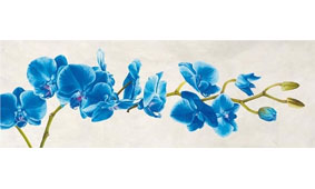 Cuadro canvas blue orchid