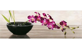 Cuadro canvas orchid arrangement