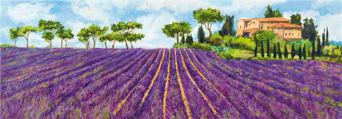 Cuadro canvas campagna provenzale