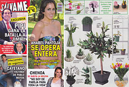 Revista Salvame